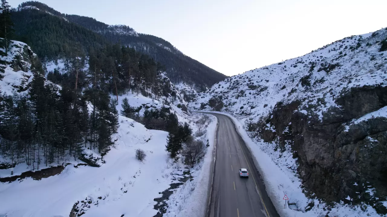 Erzurum Şenkaya'da kış güzelliği yaşandı, sarıçam ormanları beyaza büründü 3