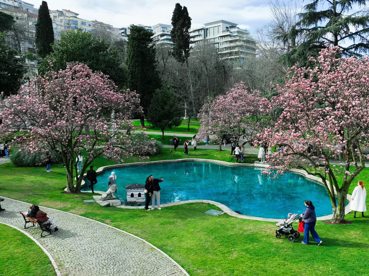 İstanbul’un saklı cenneti, Ihlamur Kasırları’nda manolyalar açtı 2