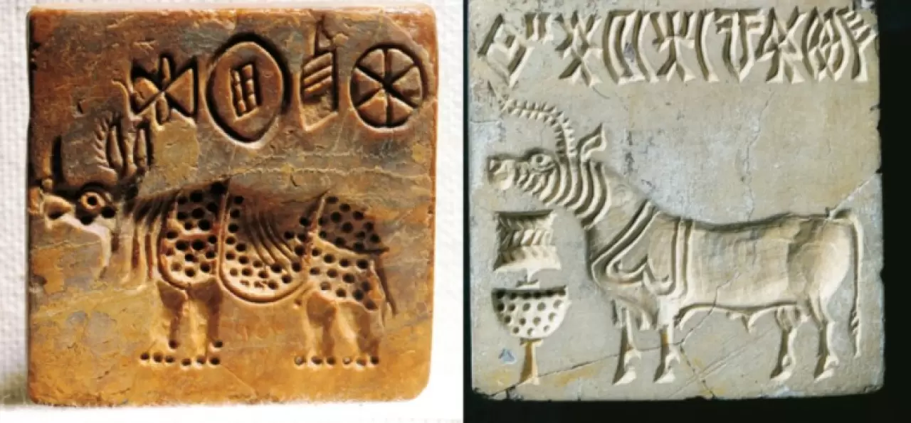 1 milyon dolarlık şifre: Antik İndus yazısı çözülebilecek mi? 5