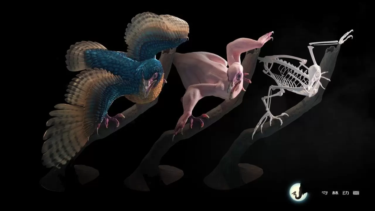 Bilim insanları şimdiye kadarki en eski kuşlardan birini ortaya çıkardı 4