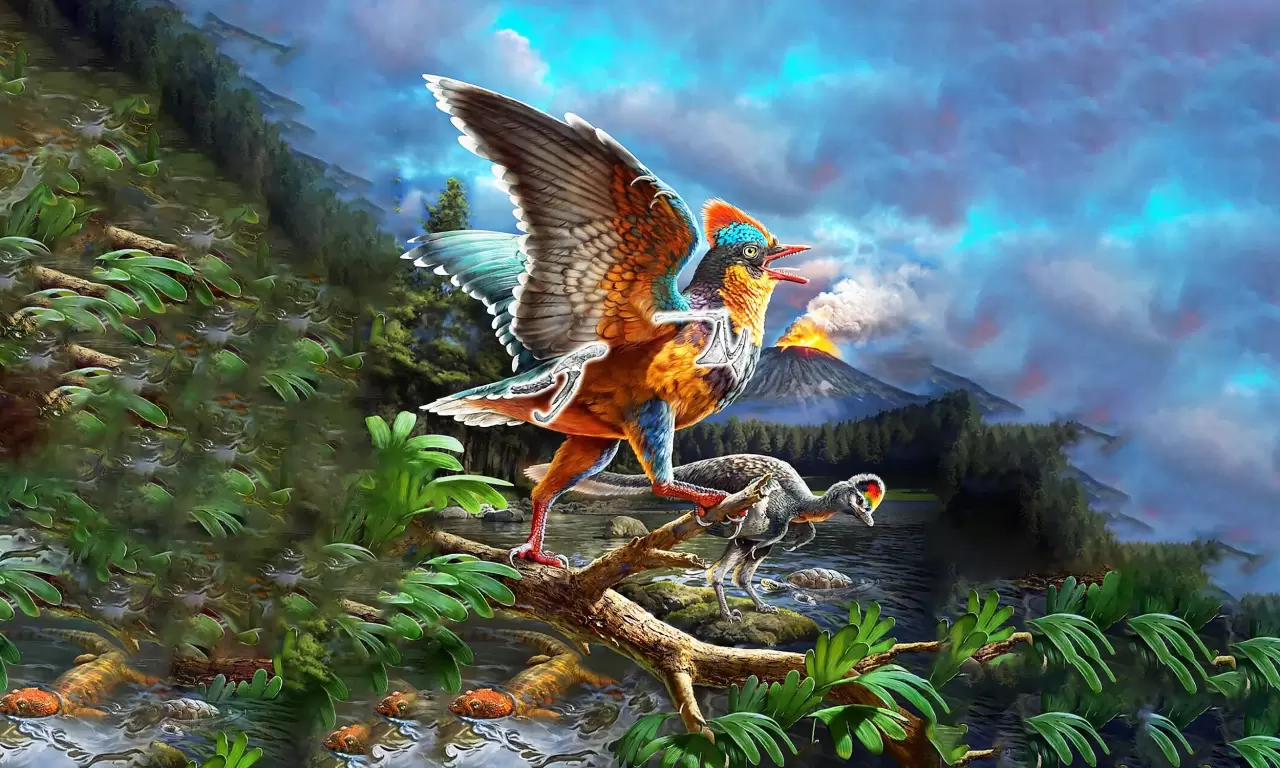 Bilim insanları şimdiye kadarki en eski kuşlardan birini ortaya çıkardı 3