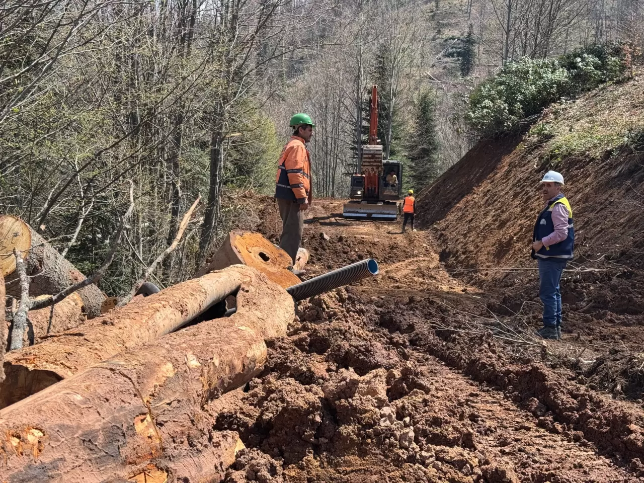 Bartın'ın orman işçileri engel tanımadan çalışıyor 5