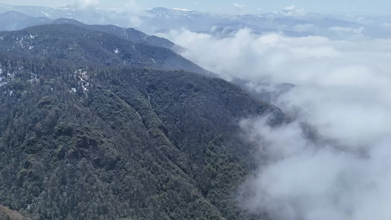 Ordu Yoroz Seyir Terası’nda sisli manzara büyüledi 3