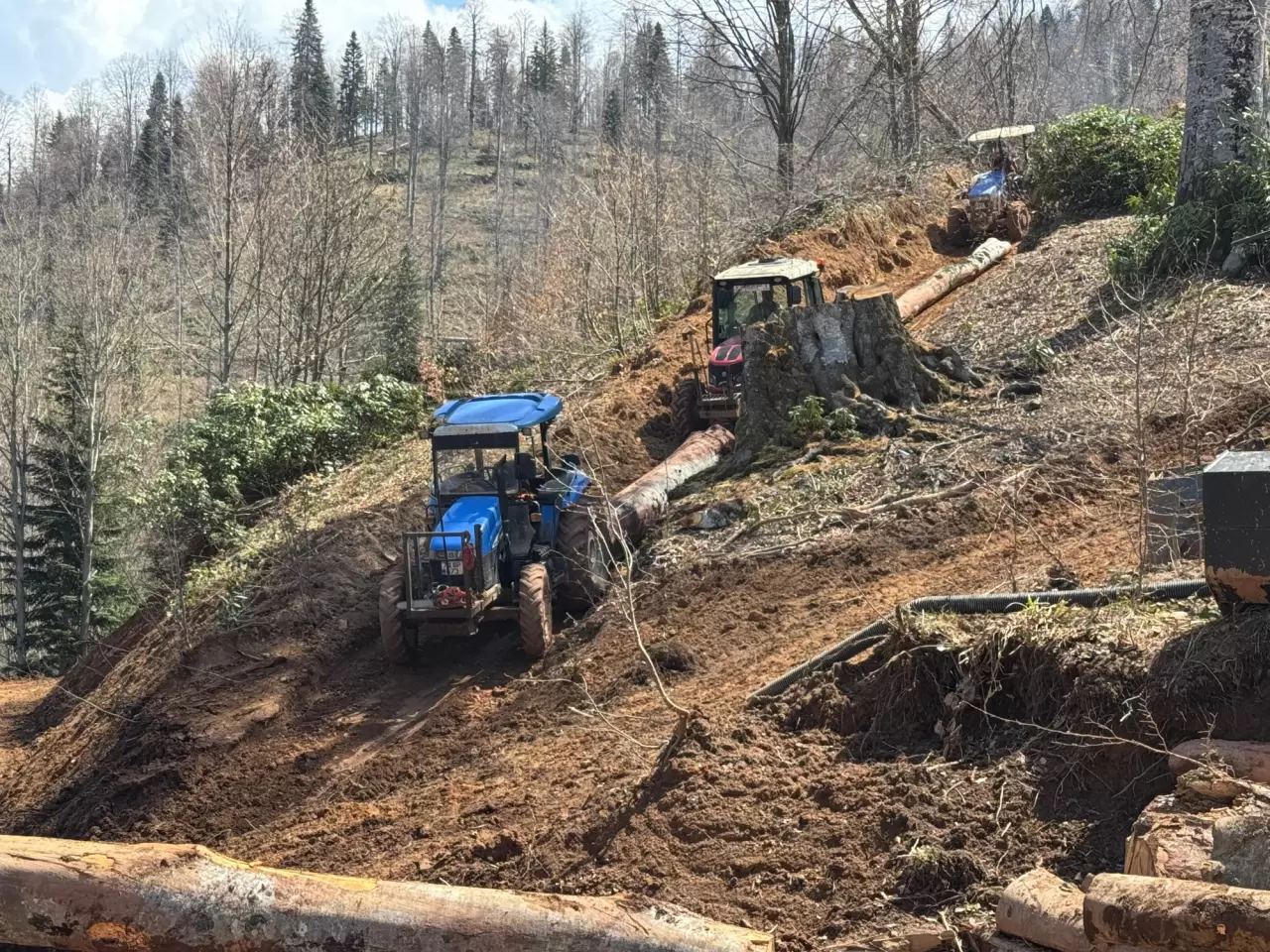 Bartın'ın orman işçileri engel tanımadan çalışıyor 6