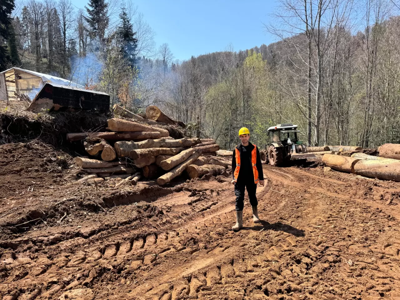 Bartın'ın orman işçileri engel tanımadan çalışıyor 4