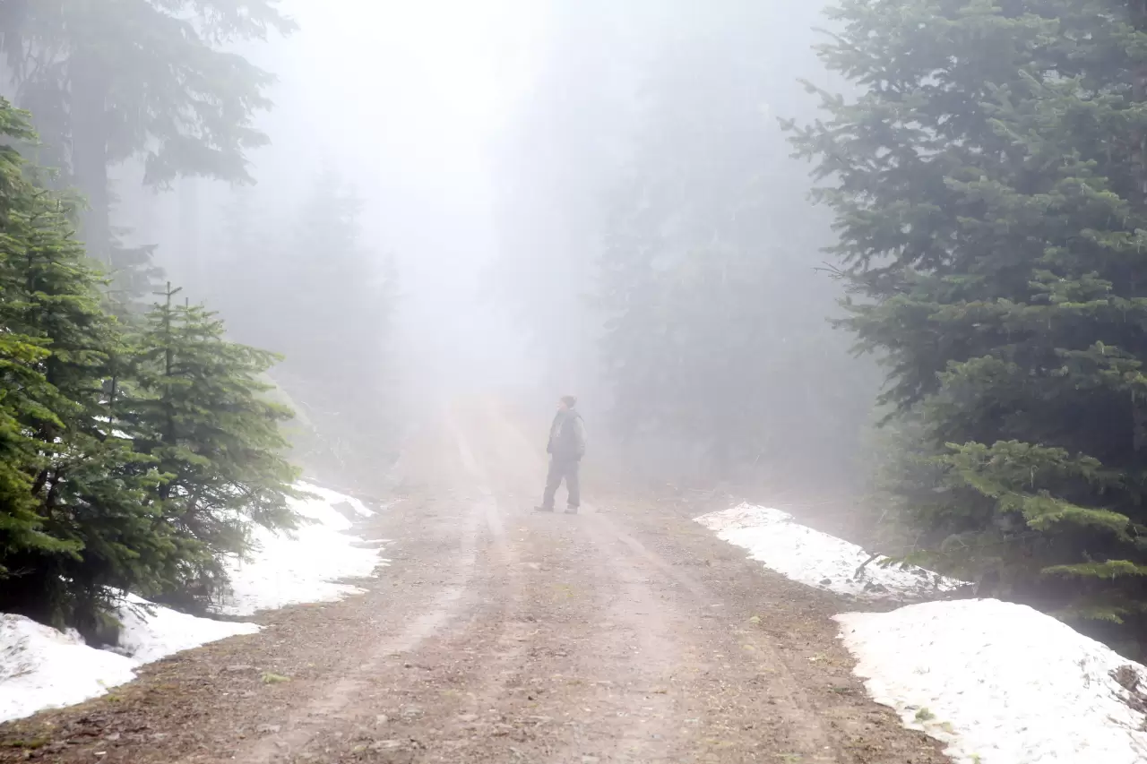 Ilgaz Dağı Kayak Merkezi'nde sis ve kar yağışı etkili oluyor 4