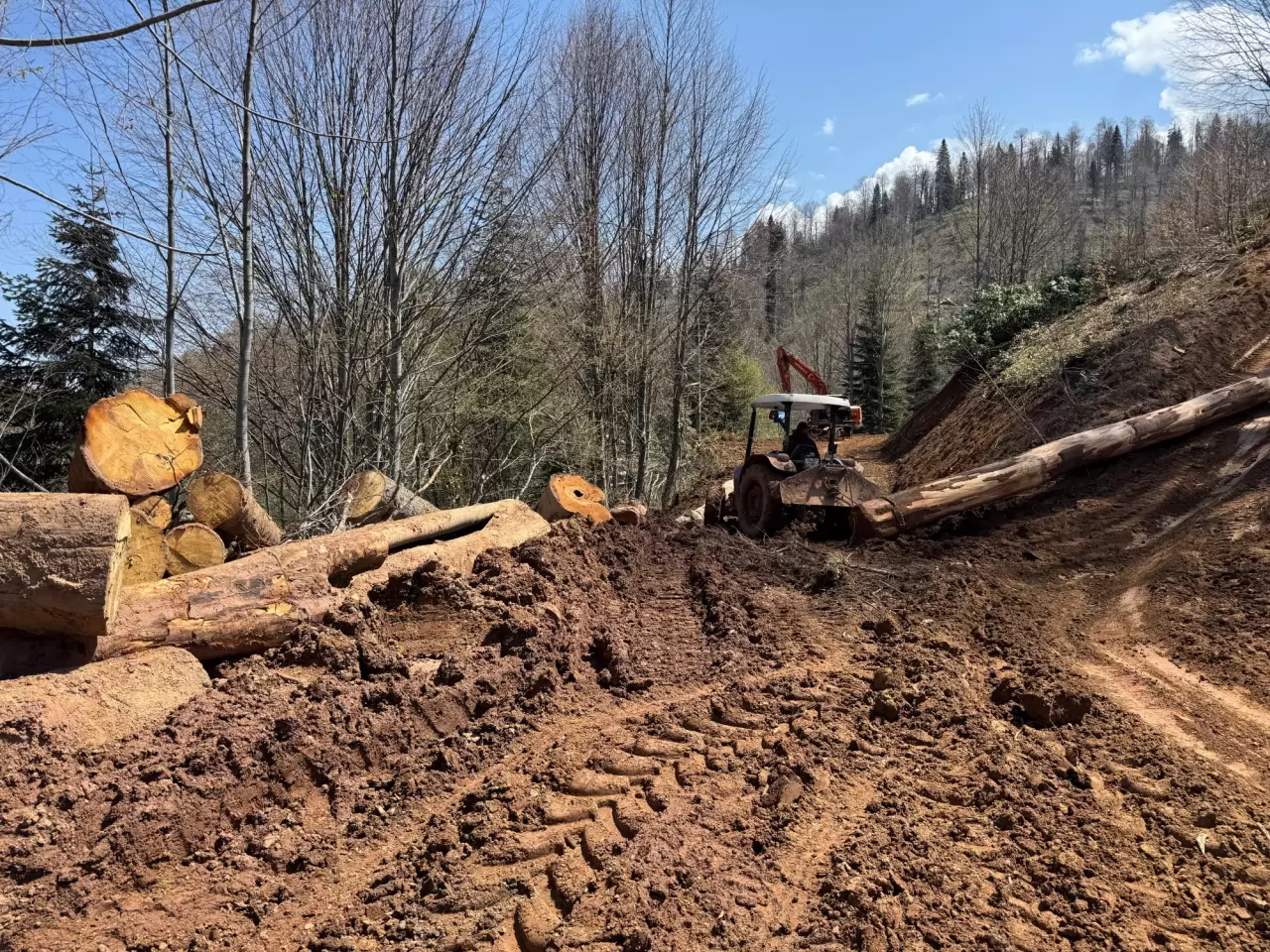 Bartın'ın orman işçileri engel tanımadan çalışıyor 2