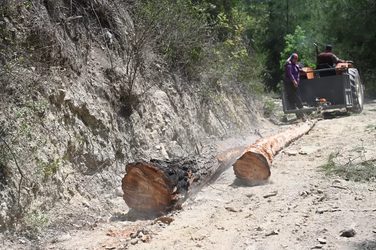 Geçimlerini orman işçiliği ile sağlayan çift 1