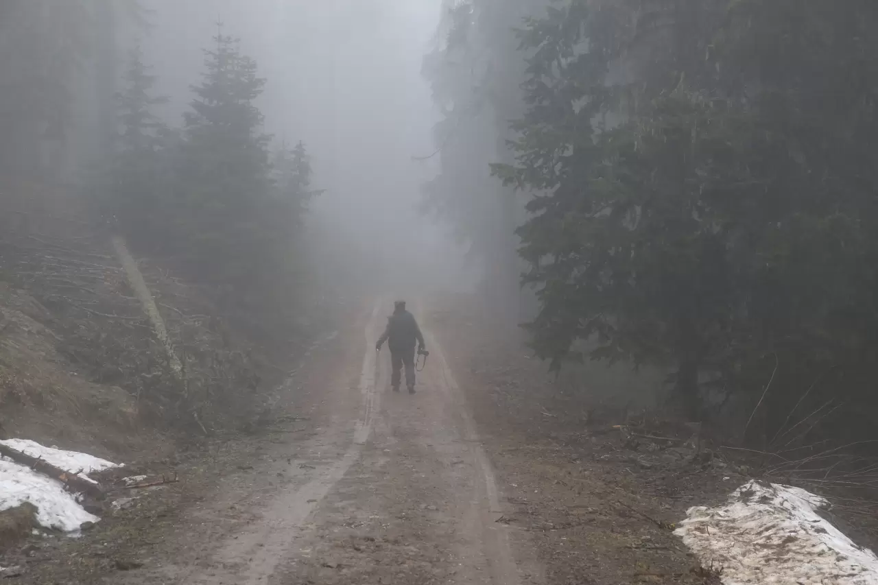 Ilgaz Dağı Kayak Merkezi'nde sis ve kar yağışı etkili oluyor 5