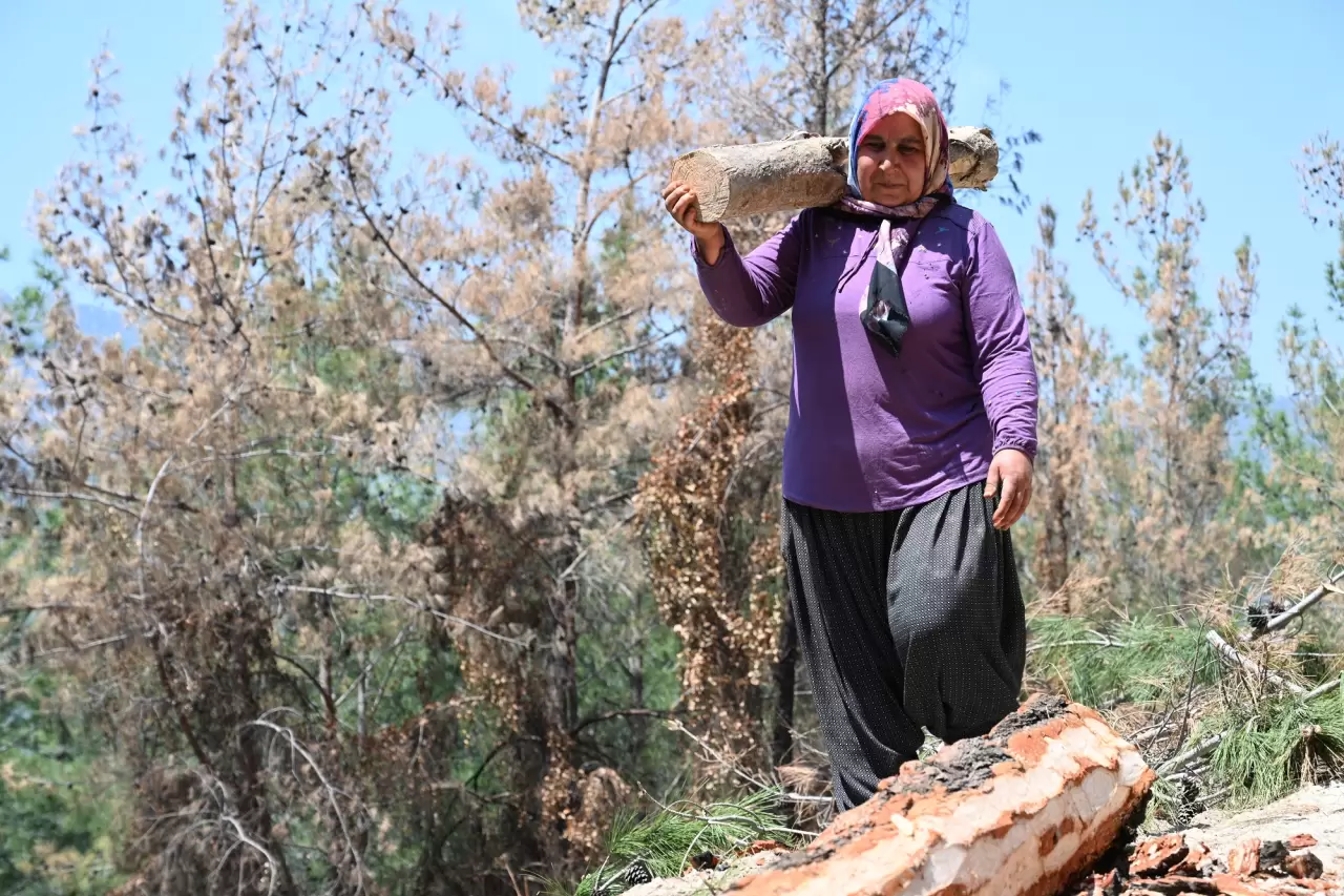 Geçimlerini orman işçiliği ile sağlayan çift 4