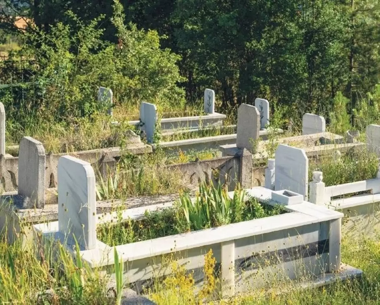 Mart'ta öldü, temmuzda dirildi! İstanbul'da film gibi olay 5