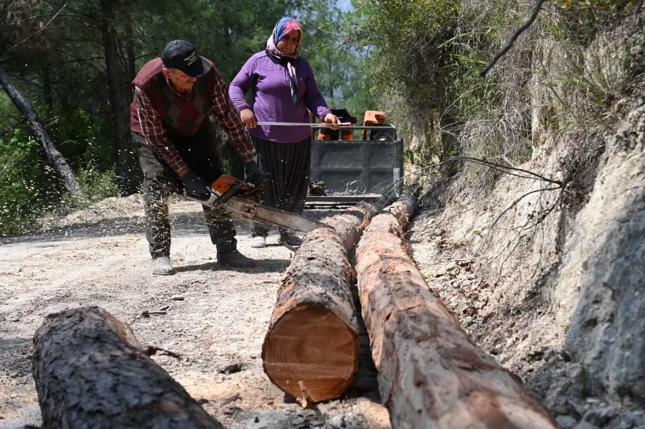 Geçimlerini orman işçiliği ile sağlayan çift 2