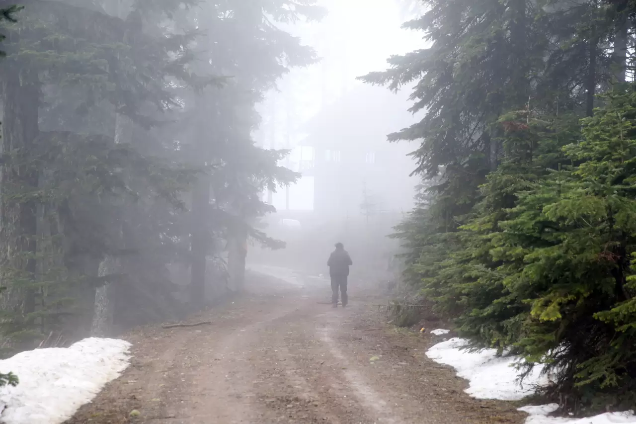 Ilgaz Dağı Kayak Merkezi'nde sis ve kar yağışı etkili oluyor 6