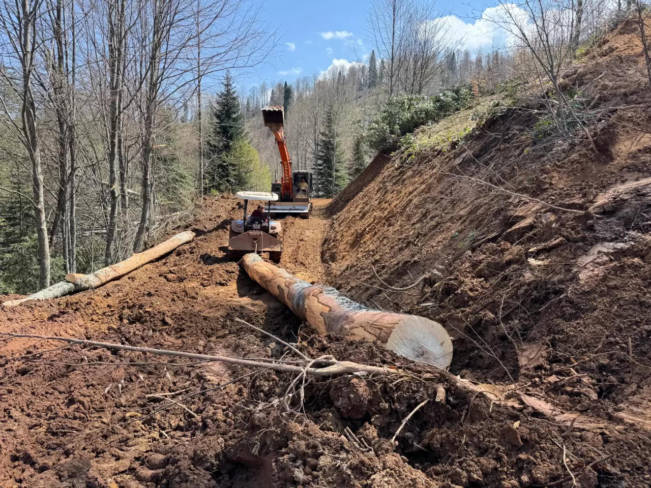 Bartın'ın orman işçileri engel tanımadan çalışıyor 3