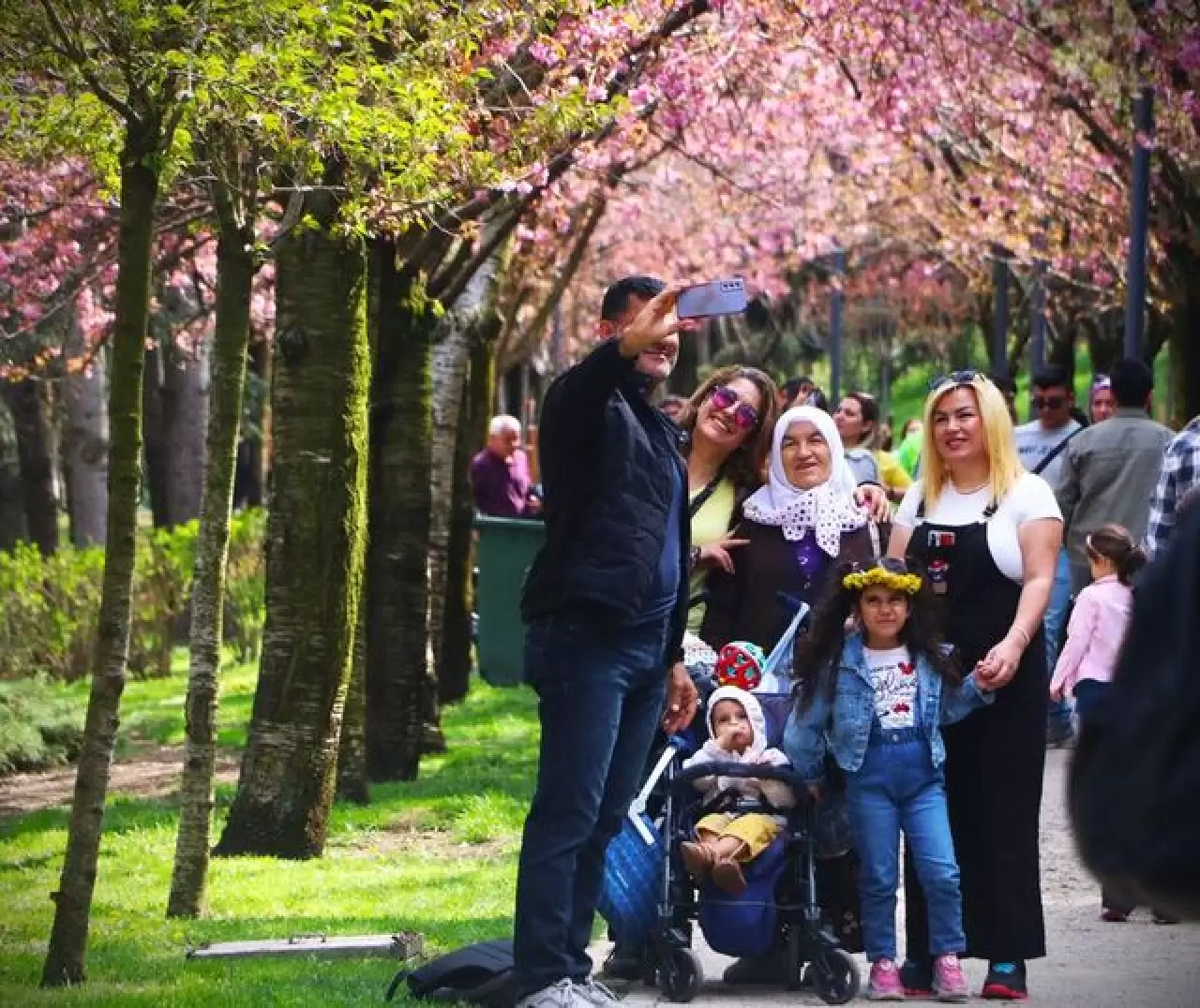 Ankara'da Dikmen Vadisi Japon kiraz ağacı sakuraların çiçek açmasıyla renklendi 3