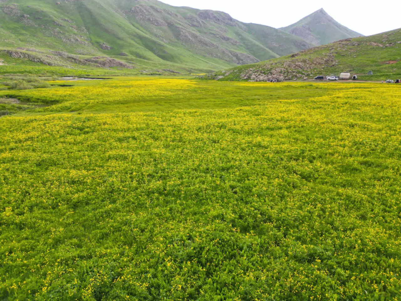 2 bin 625 rakımlı Faraşin Yaylası doğaseverlerin rotası oldu 2