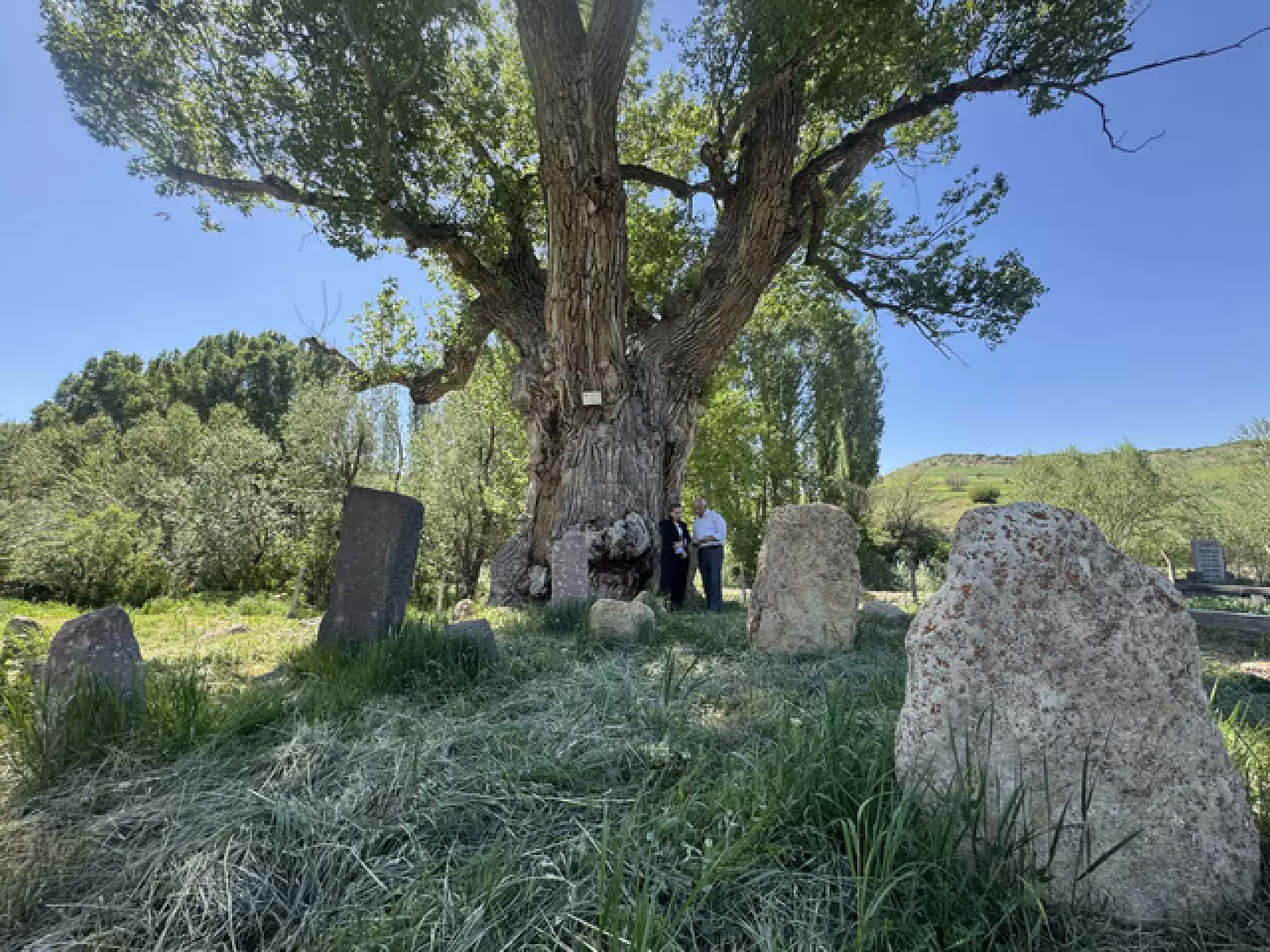 750 yıllık Türk boylarına ait tarihi mezar taşları koruma altında 5