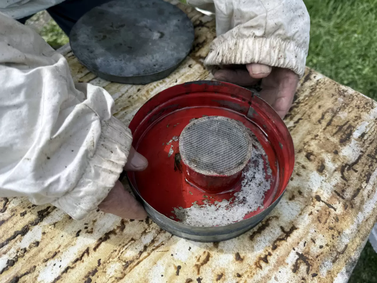 Kazım Arıcı, 101 yaşında arıcılık yaparak hayatını sürdürüyor 4