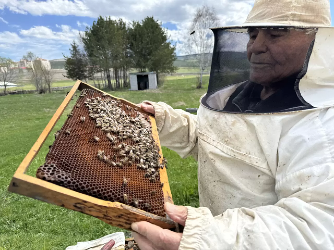 Kazım Arıcı, 101 yaşında arıcılık yaparak hayatını sürdürüyor 7