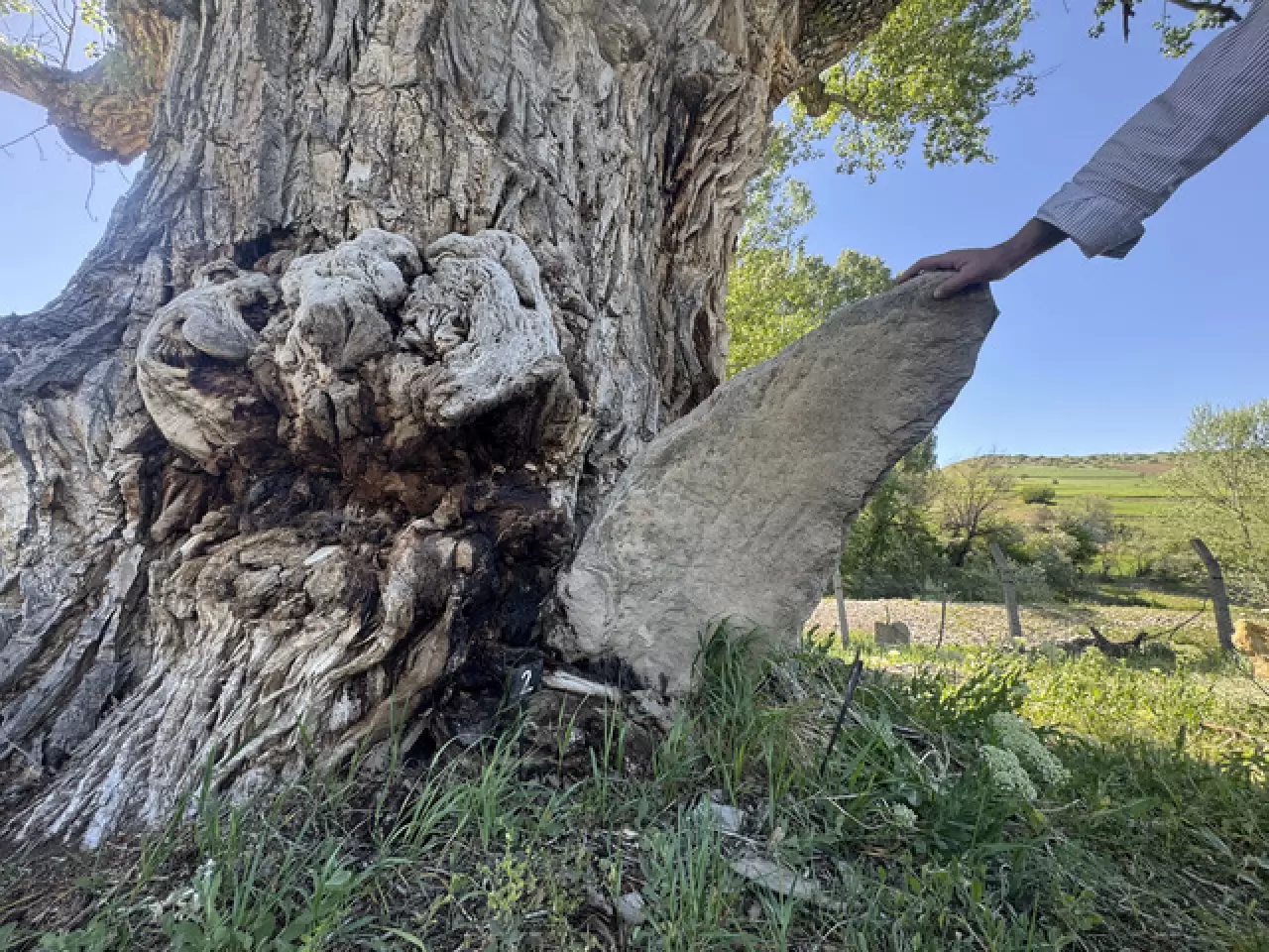 750 yıllık Türk boylarına ait tarihi mezar taşları koruma altında 9