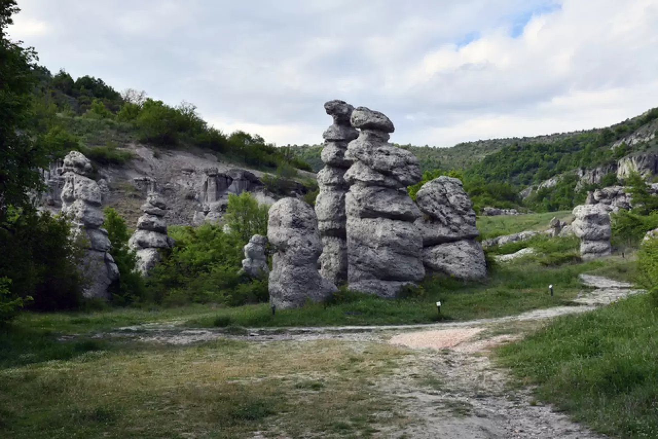 Kuzey Makedonya'da taşlaşmış düğün merasimi 11