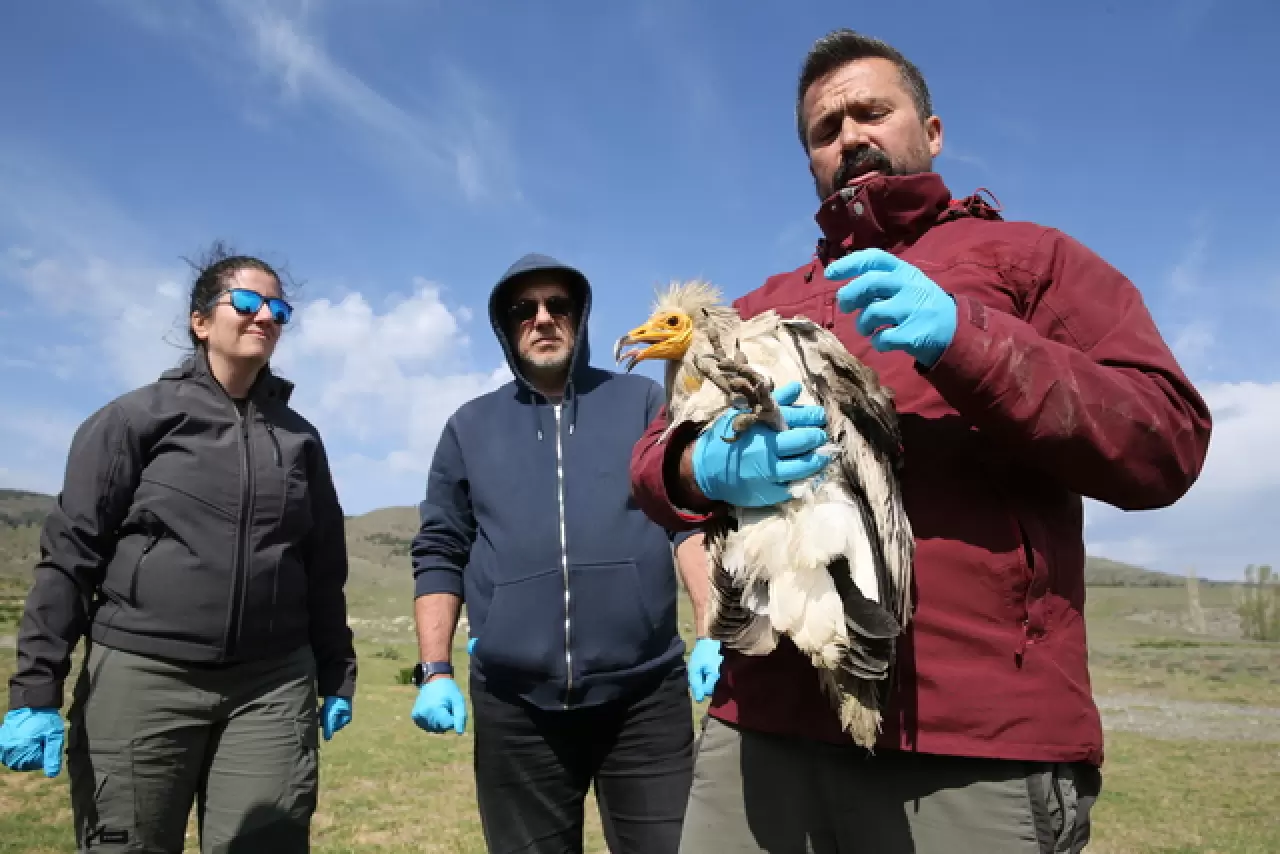 Midas 101 bin km uçtu, 9 ülke geçti 10