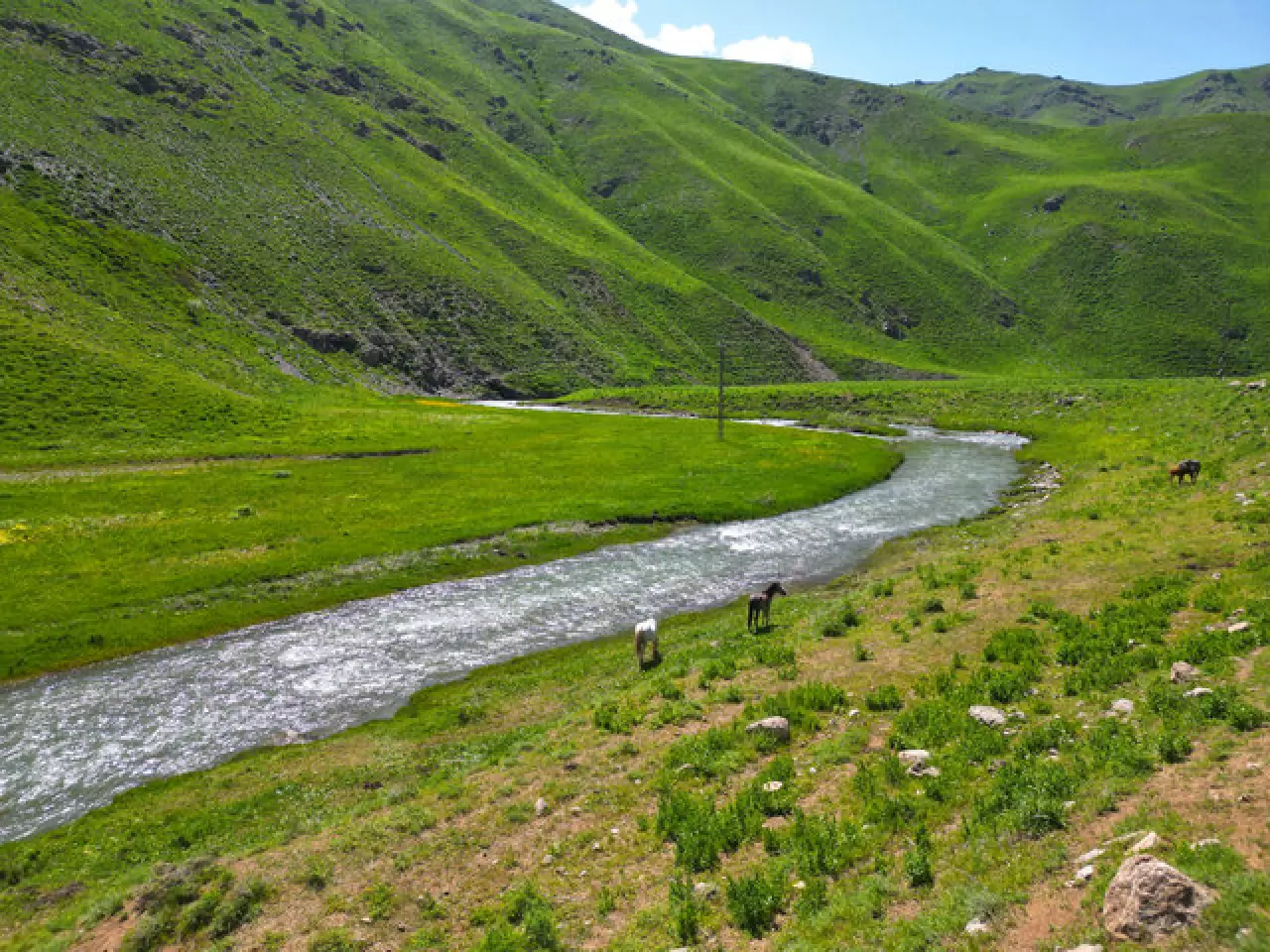 2 bin 625 rakımlı Faraşin Yaylası doğaseverlerin rotası oldu 3