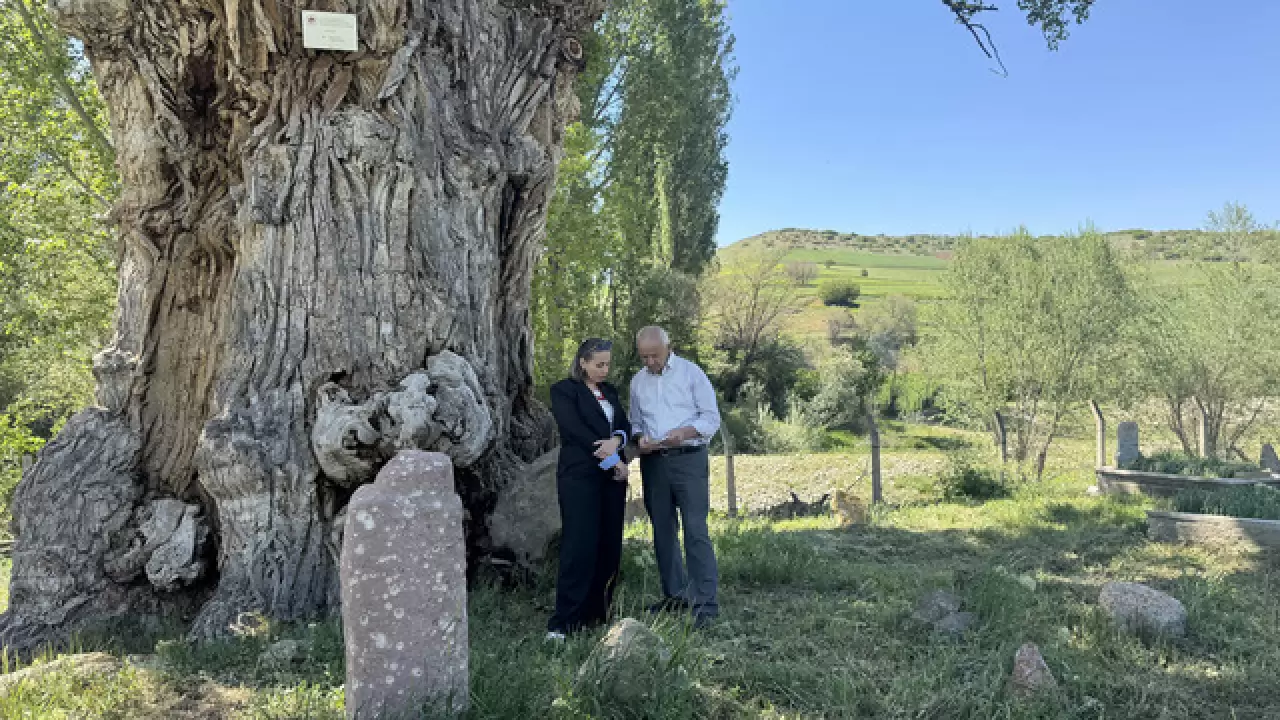 750 yıllık Türk boylarına ait tarihi mezar taşları koruma altında 11