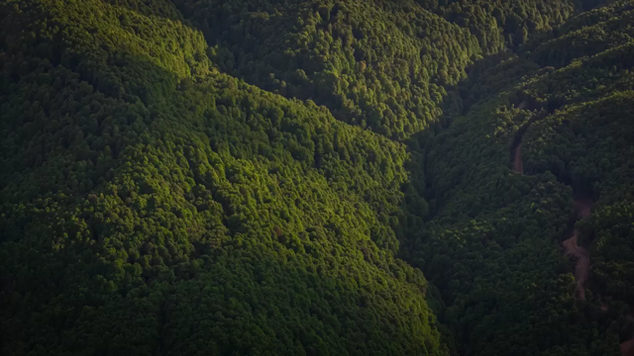 Domaniç Dağları'nda ilkbahar manzarası 4