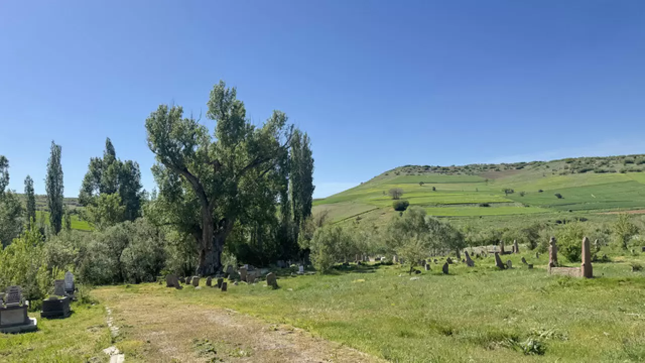750 yıllık Türk boylarına ait tarihi mezar taşları koruma altında 12