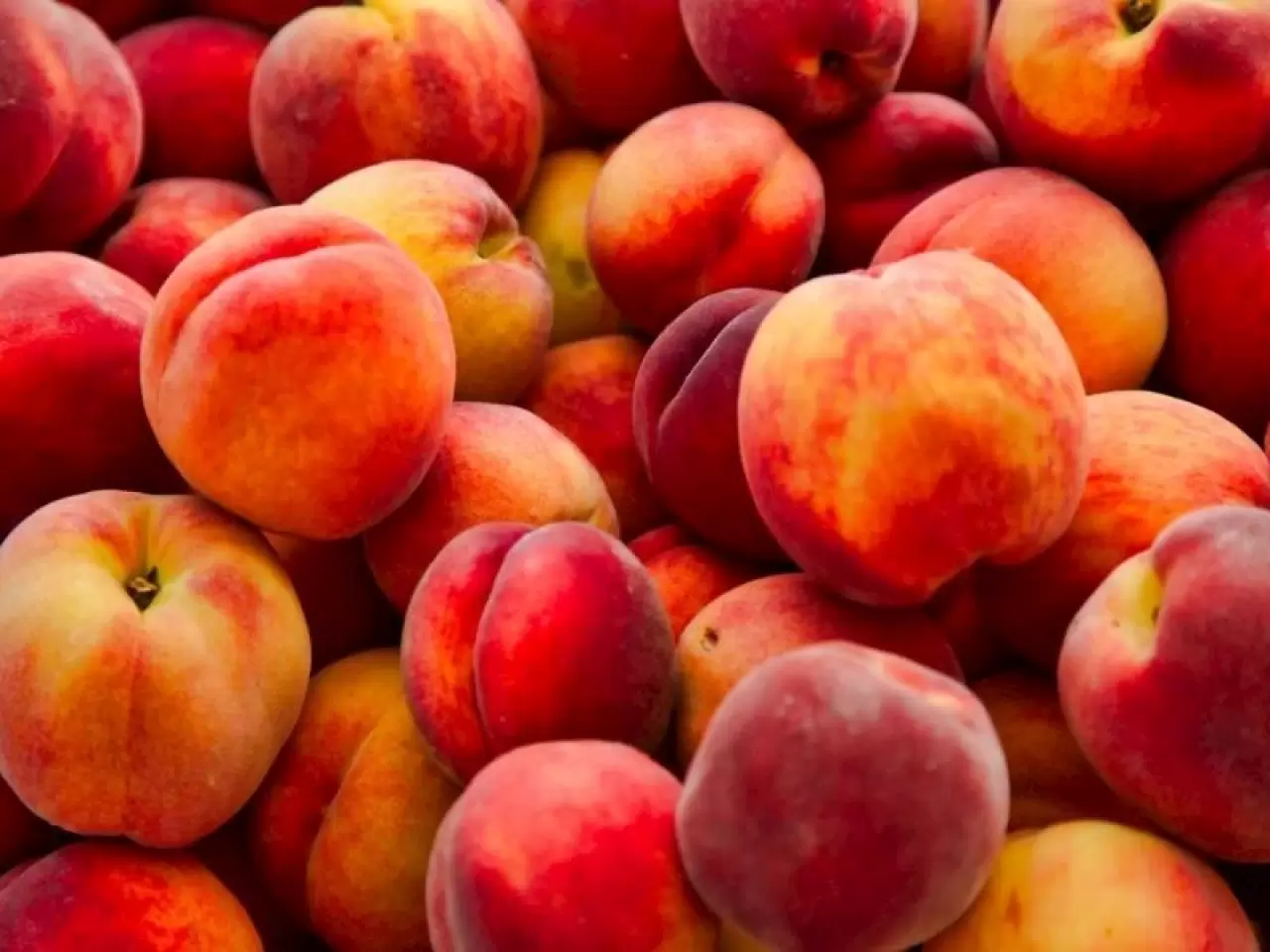 İşte En Çok Su İçeren Meyve ve Sebzeler 4