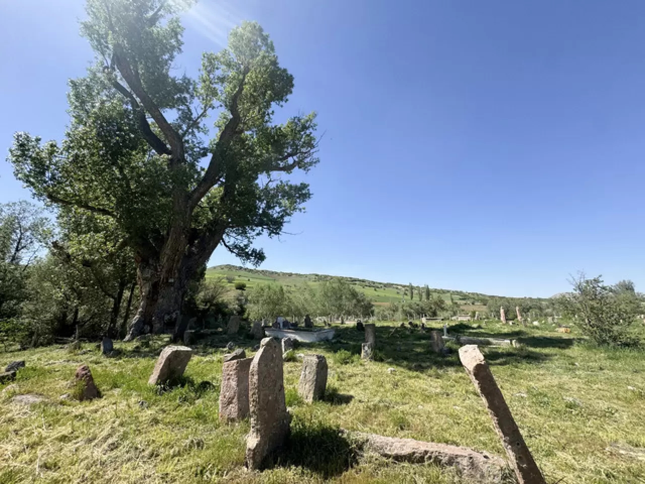 750 yıllık Türk boylarına ait tarihi mezar taşları koruma altında 2