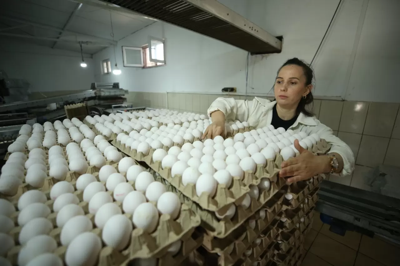 Yapay zekayı ile tavuk yetiştirecek 5