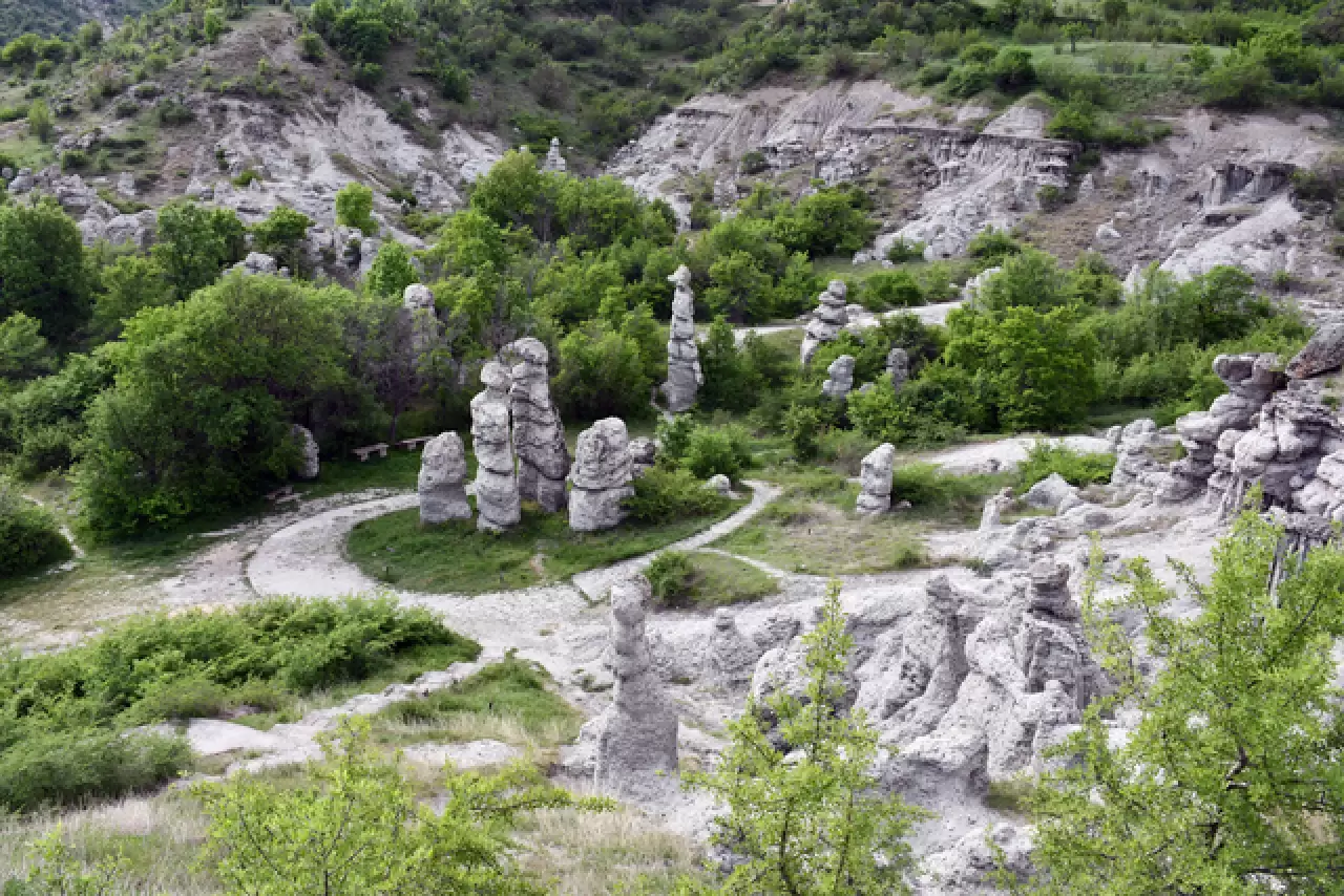 Kuzey Makedonya'da taşlaşmış düğün merasimi 2