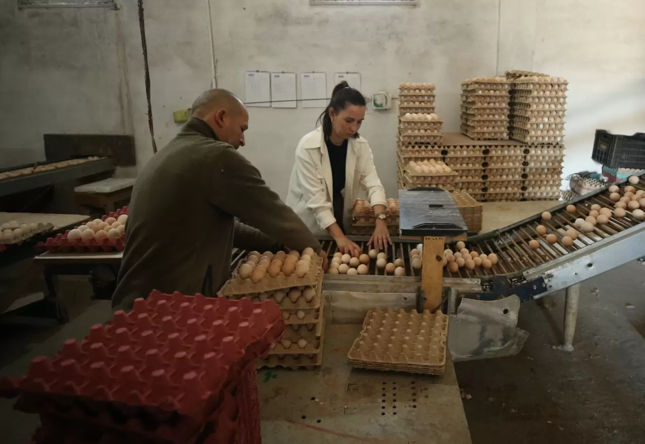 Yapay zekayı ile tavuk yetiştirecek 2