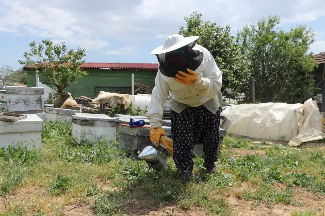 Kayınpederi sayesinde 47 yıldır arıcılık yapıyor 1