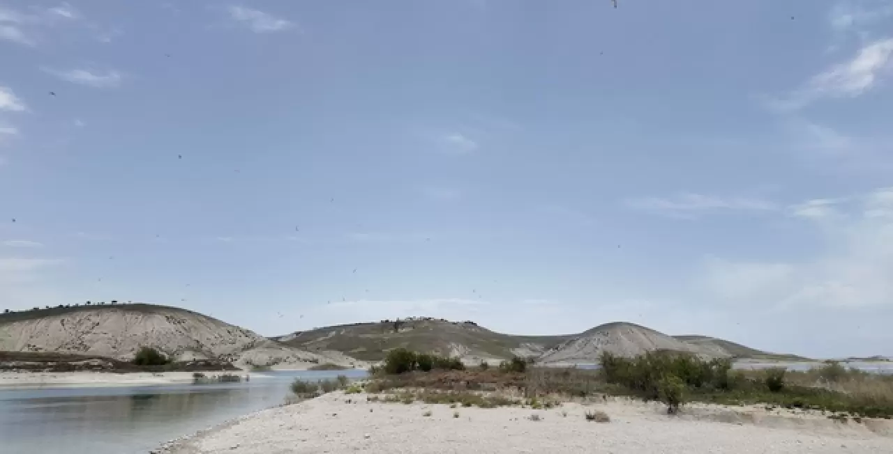 Adıyaman'da sadece martılara ait olan eşsiz doğa adası 6