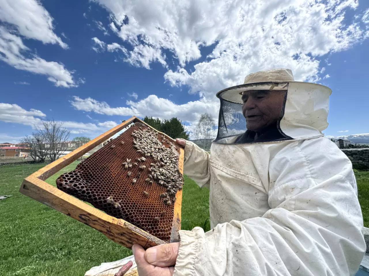 Kazım Arıcı, 101 yaşında arıcılık yaparak hayatını sürdürüyor 10