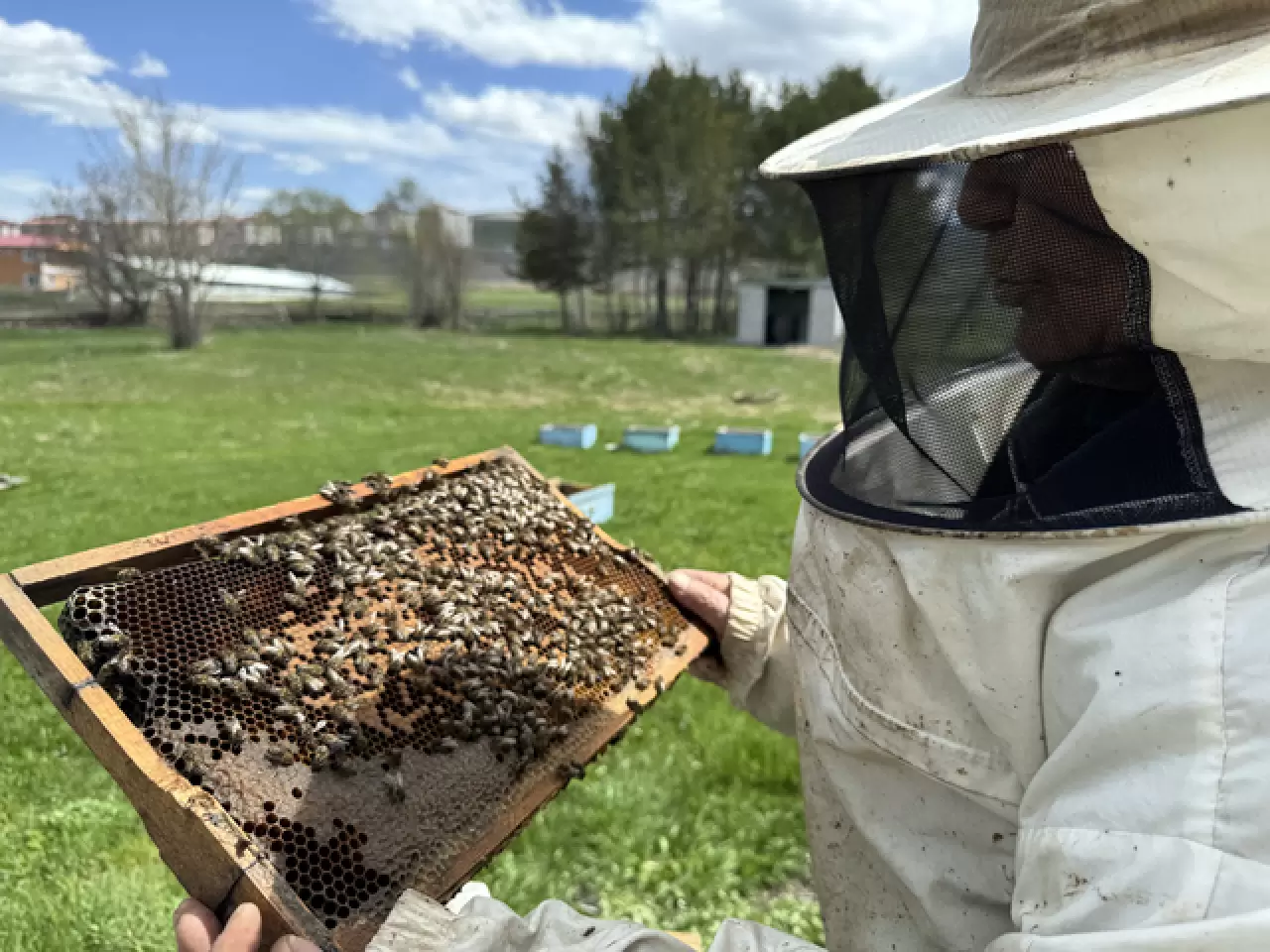 Kazım Arıcı, 101 yaşında arıcılık yaparak hayatını sürdürüyor 2