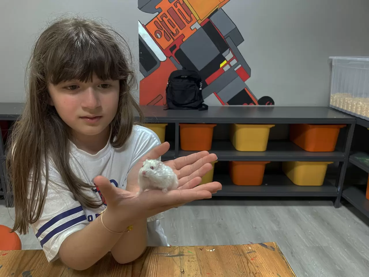 Öğrenciler minik dostları sayesinde derslere motive oluyorlar 2