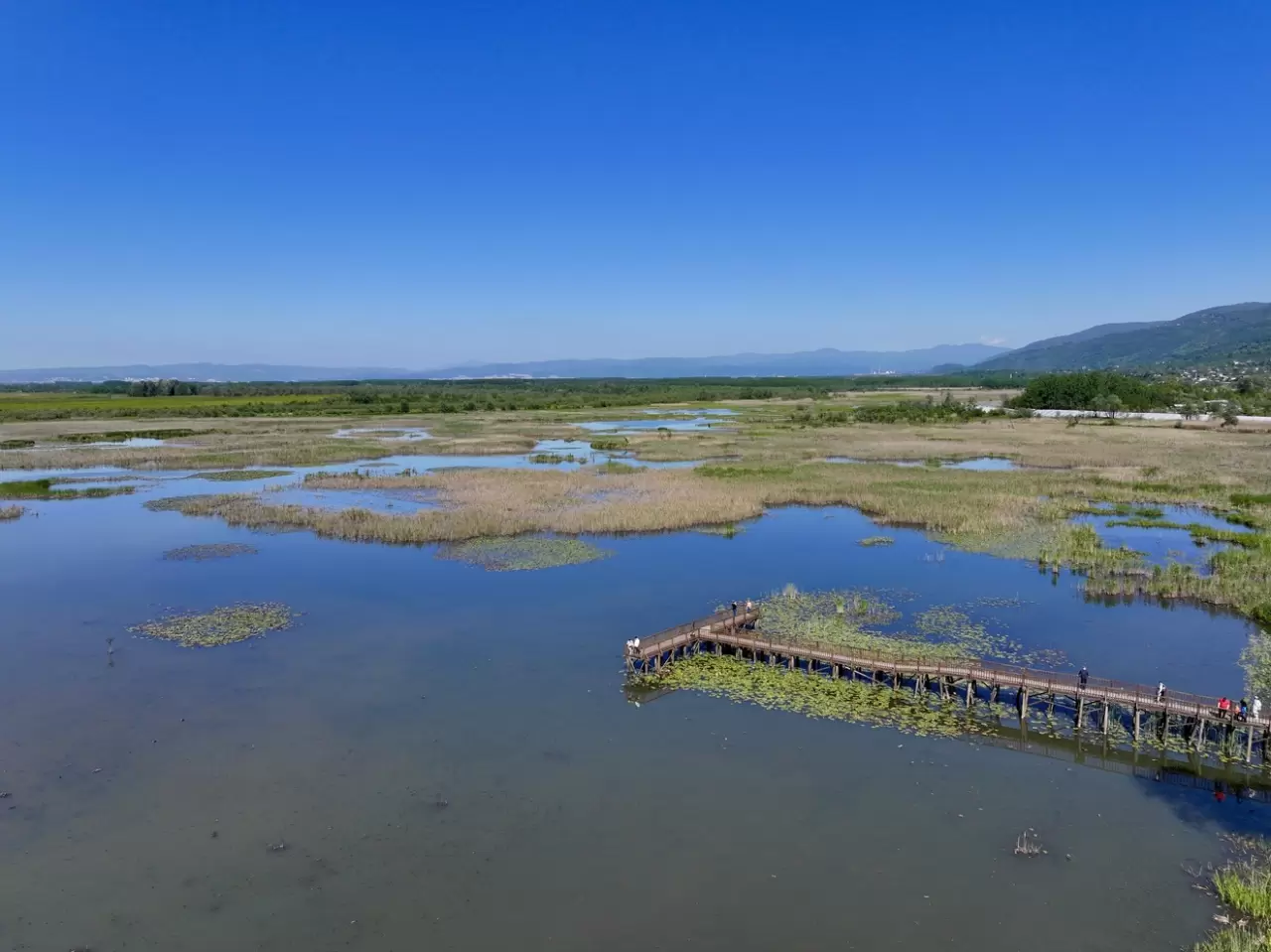 Efteni Gölü Kuş Cenneti hafta sonu doğa tutkunlarını ağırladı 4