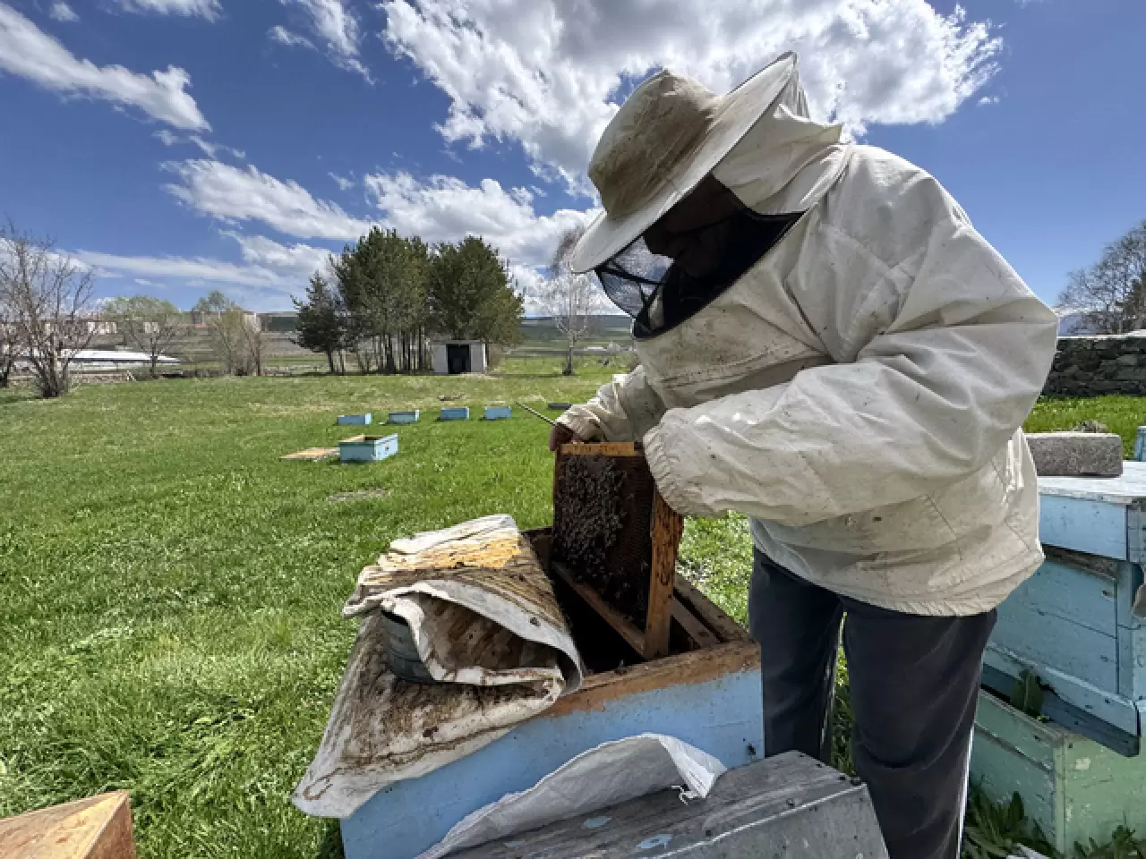 Kazım Arıcı, 101 yaşında arıcılık yaparak hayatını sürdürüyor 6