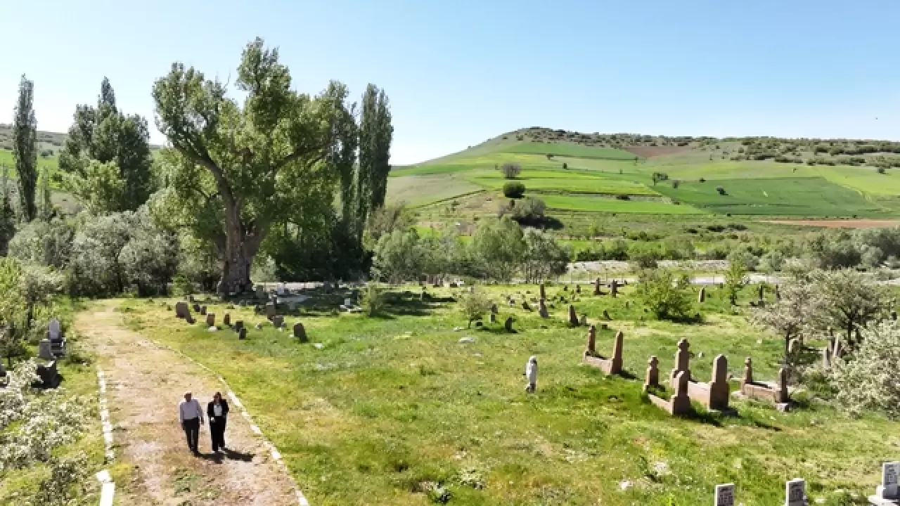 750 yıllık Türk boylarına ait tarihi mezar taşları koruma altında 6
