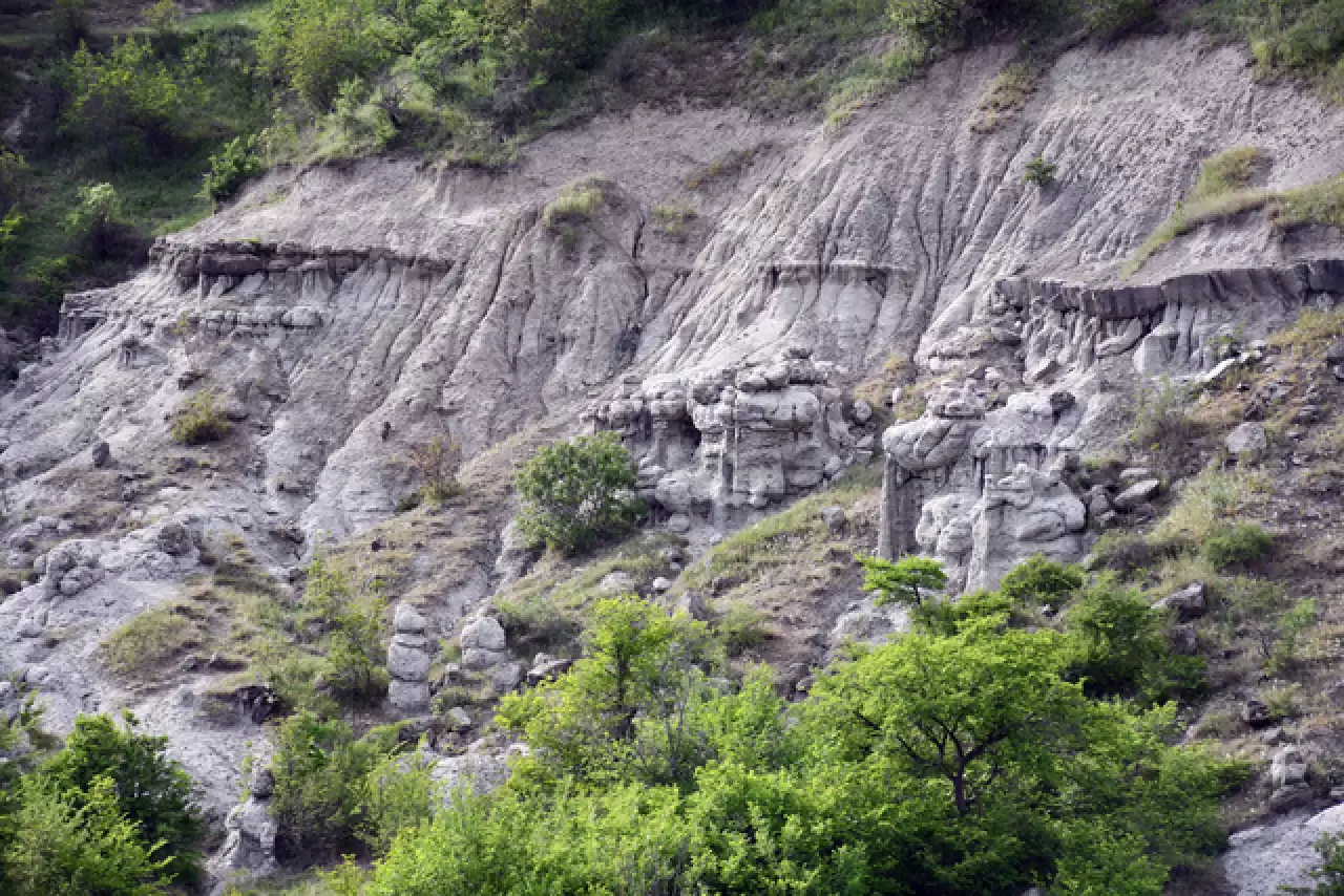 Kuzey Makedonya'da taşlaşmış düğün merasimi 6