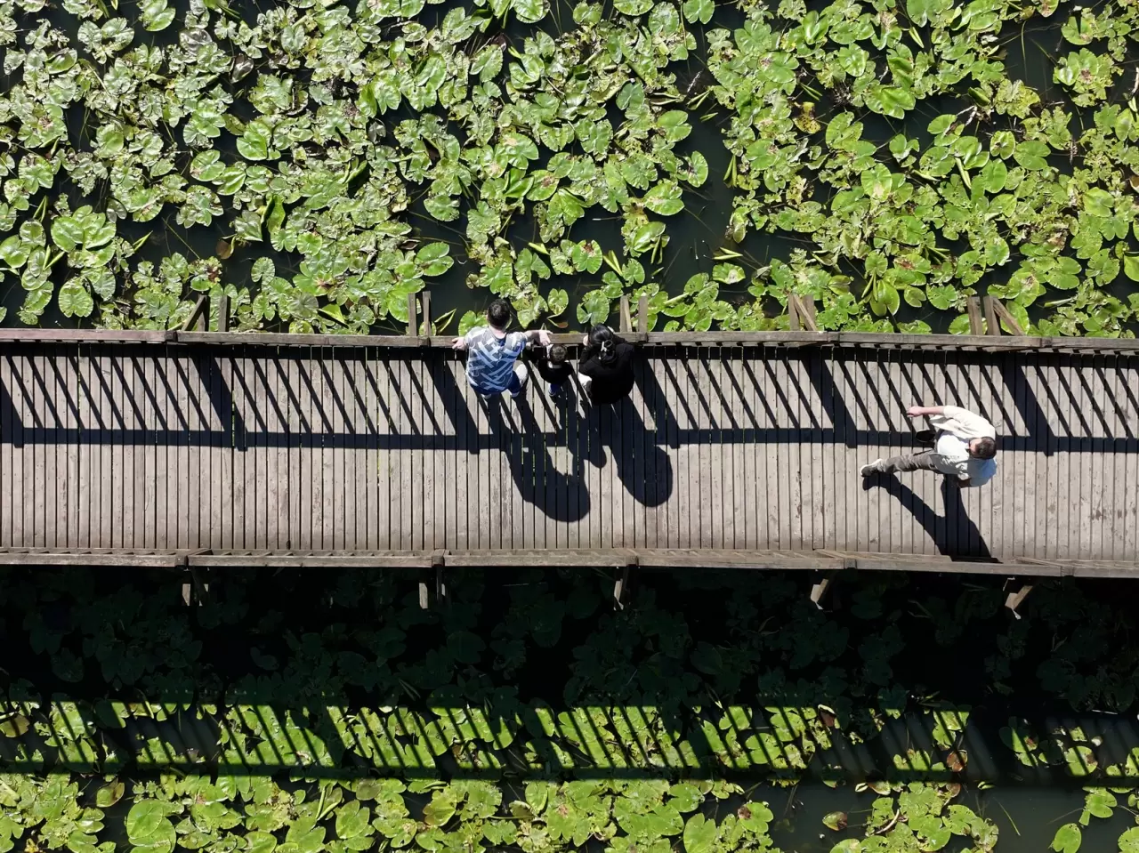 Efteni Gölü Kuş Cenneti hafta sonu doğa tutkunlarını ağırladı 2