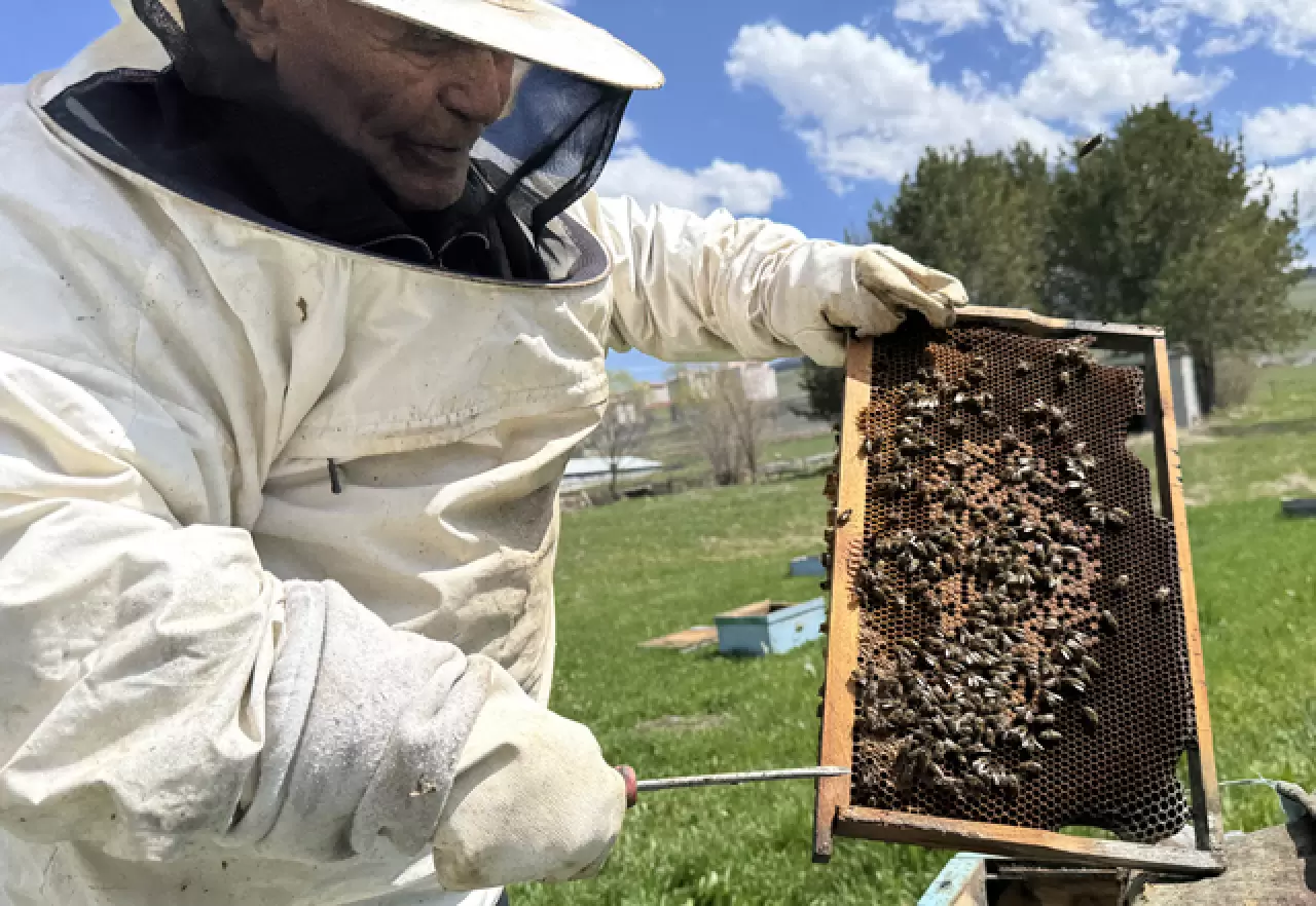 Kazım Arıcı, 101 yaşında arıcılık yaparak hayatını sürdürüyor 8