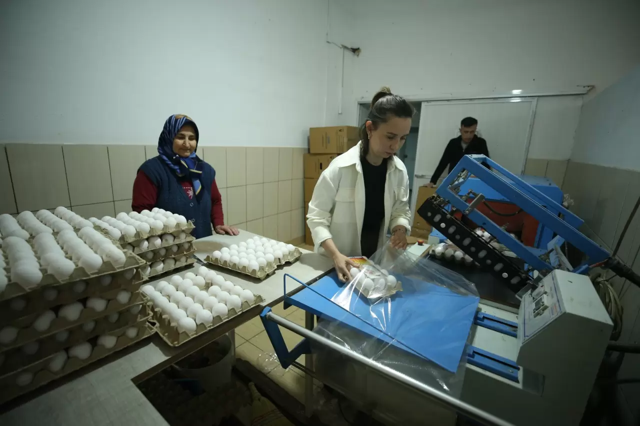 Yapay zekayı ile tavuk yetiştirecek 4