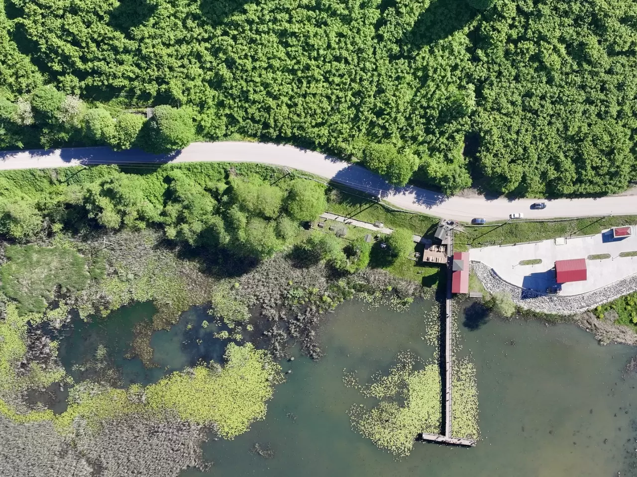 Efteni Gölü Kuş Cenneti hafta sonu doğa tutkunlarını ağırladı 3