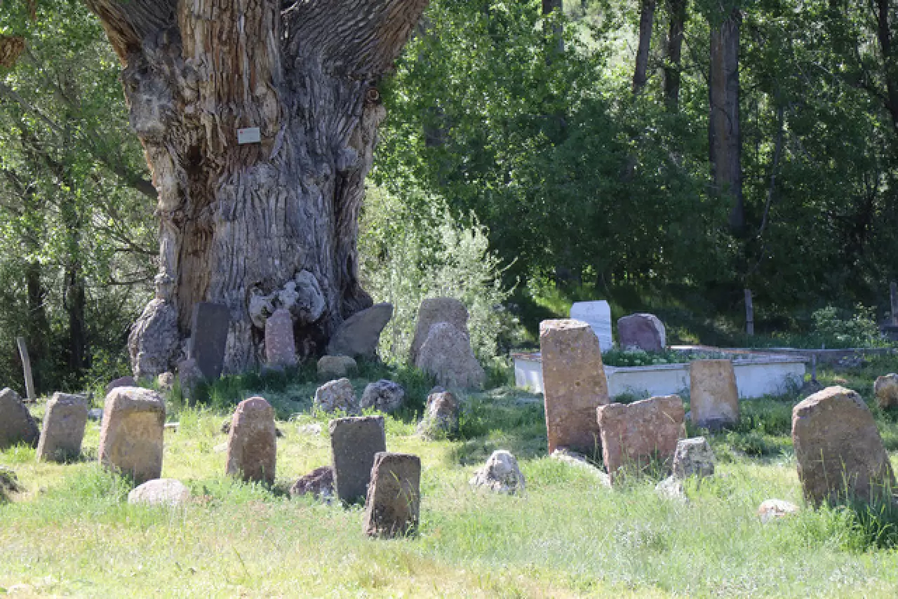 750 yıllık Türk boylarına ait tarihi mezar taşları koruma altında 8