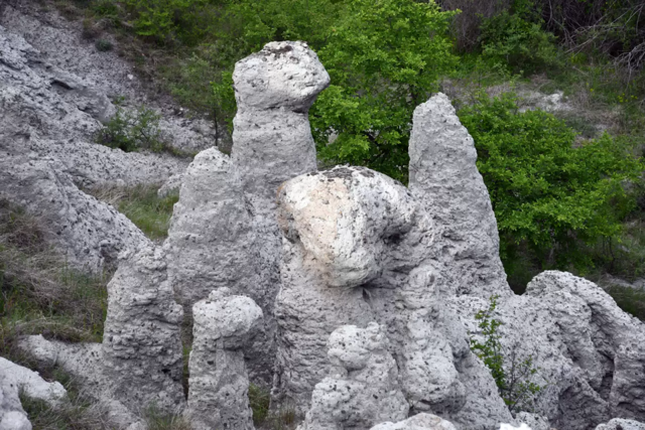 Kuzey Makedonya'da taşlaşmış düğün merasimi 3